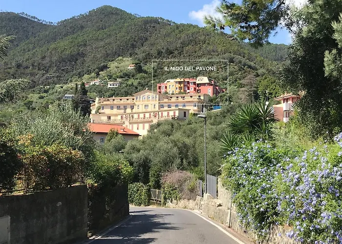 Il Nido Del Pavone *