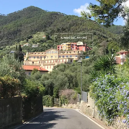 Il Nido Del Pavone *