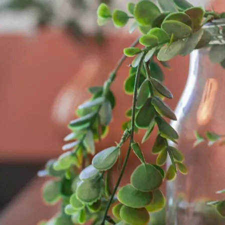 Il Nido Del Pavone Appartement *